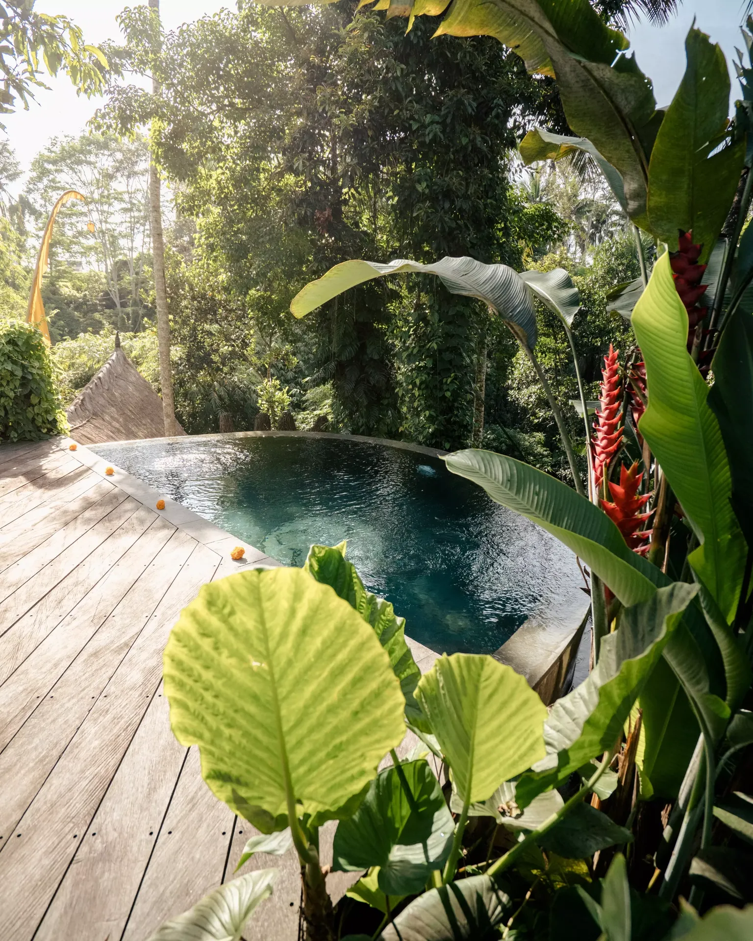 For your comfort and experience here in Bali Firefly Wellness Retreats have rented our very own retreat space. We chose Basandari as it provides the ideal environment to nourish your mind, body, and soul, whilst reconnecting to nature at its finest.