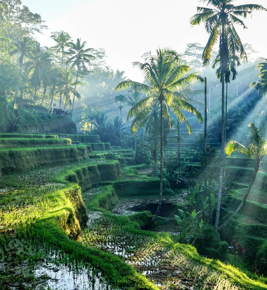 If we had to describe Bali in a word we'd just say Paradise...not only in it`s physical appearance however, people say that one feels when walking around the people and the land that seems to rise above the everyday spiritual plane.